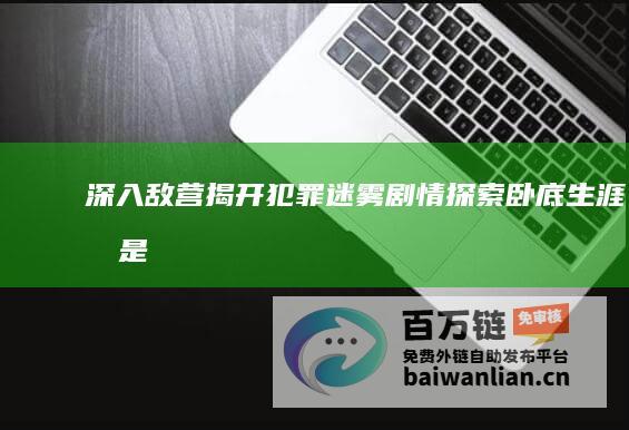 深入敌营揭开犯罪迷雾—— 剧情探索 卧底生涯 我是卧底 (深入敌营揭开黑暗之谜)