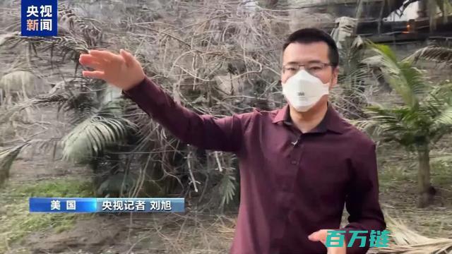 央视记者实地探访受灾社区 洛杉矶山火肆虐 揭露严重破坏情况 (央视记者实地探访重庆市大足县城南实验小学,查无此校)